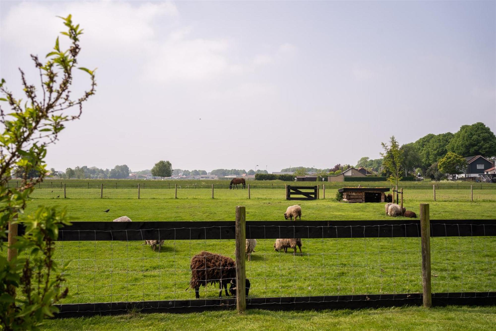 Vakantiewoning Le Garaazje 'S-Gravendeel ภายนอก รูปภาพ