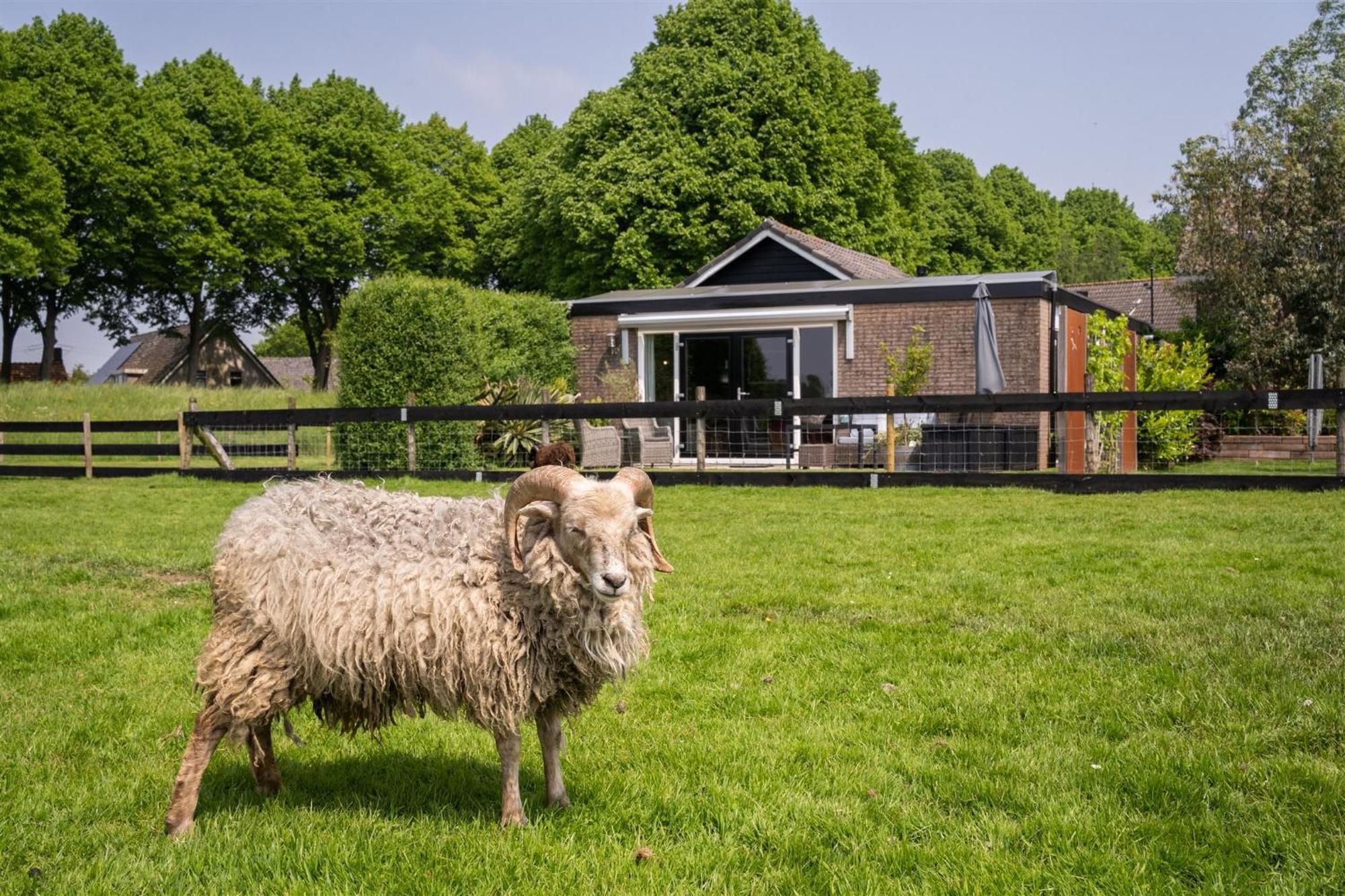 Vakantiewoning Le Garaazje 'S-Gravendeel ภายนอก รูปภาพ