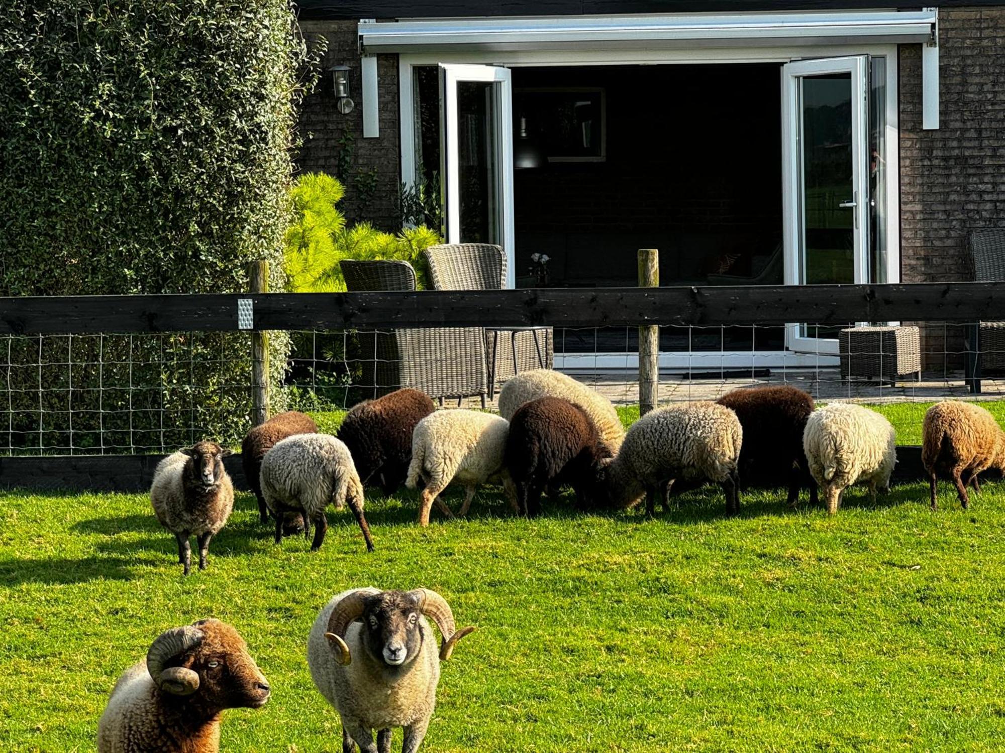 Vakantiewoning Le Garaazje 'S-Gravendeel ภายนอก รูปภาพ