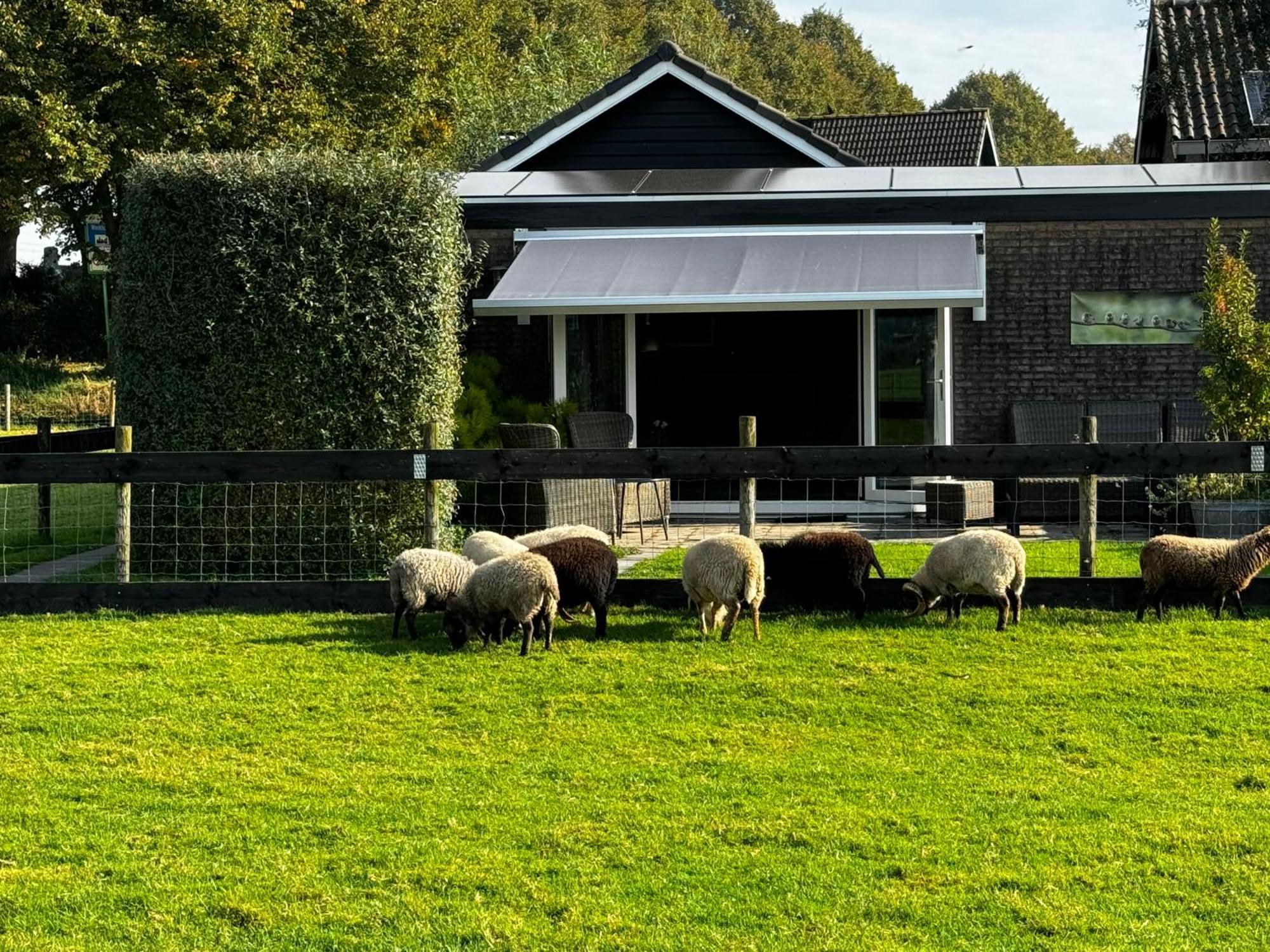 Vakantiewoning Le Garaazje 'S-Gravendeel ภายนอก รูปภาพ