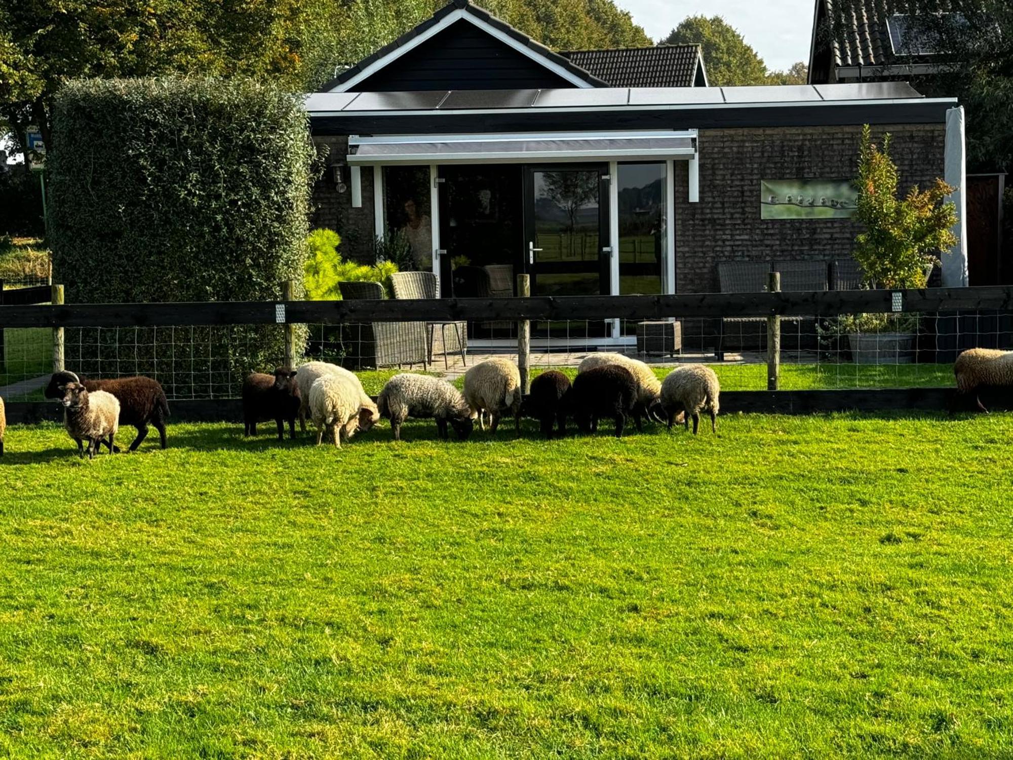 Vakantiewoning Le Garaazje 'S-Gravendeel ภายนอก รูปภาพ